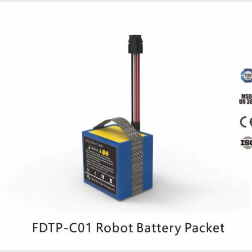 FDTP C01 Battery Pack